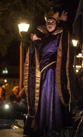 The Evil Queen from Snow White